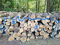 6x stère