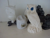 6x uil - afbeelding 1 van  2