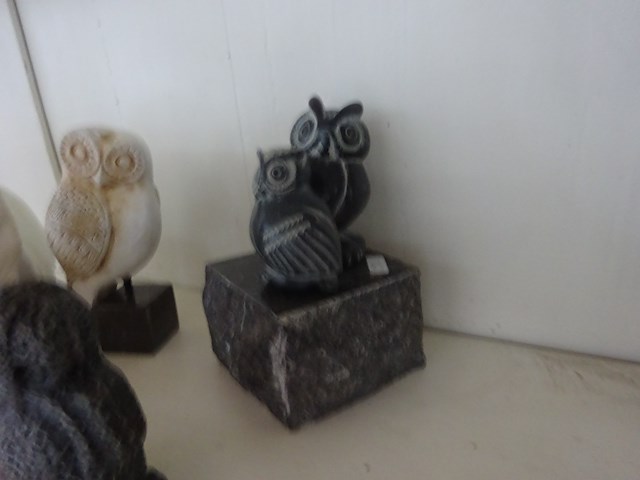 6x uil - afbeelding 2 van  2