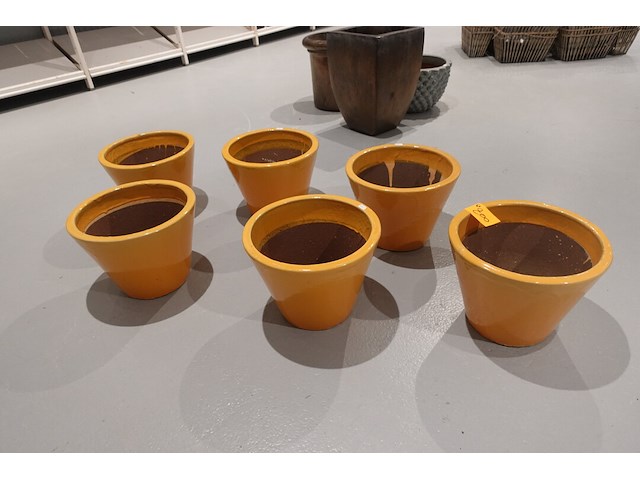 6x vorstvrije terracotta bloempot - afbeelding 2 van  4