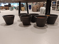 6x vorstvrije terracotta bloempot - afbeelding 1 van  4