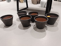 6x vorstvrije terracotta bloempot - afbeelding 2 van  4