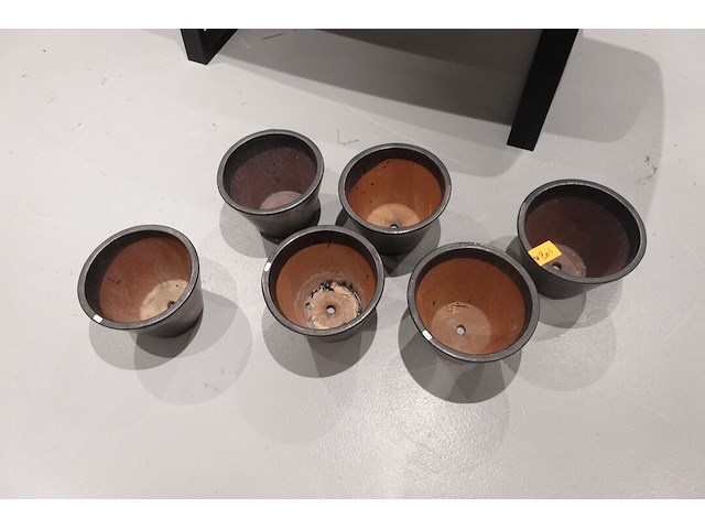 6x vorstvrije terracotta bloempot - afbeelding 3 van  4