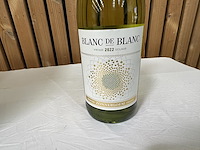 6x zonnebloem steelenbosch blanc de blanc 2022 - afbeelding 2 van  4