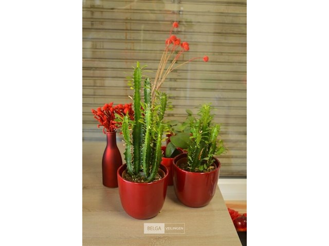 7 bloempotten met plant - afbeelding 1 van  5