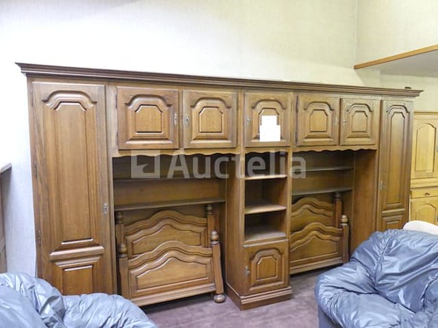 7-deurs bedbrug - afbeelding 1 van  5