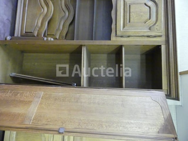 7-deurs bedbrug - afbeelding 3 van  5