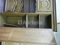 7-deurs bedbrug - afbeelding 3 van  5