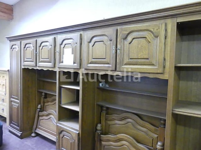 7-deurs bedbrug - afbeelding 4 van  5