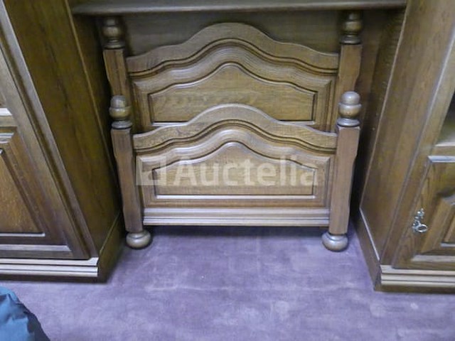 7-deurs bedbrug - afbeelding 5 van  5