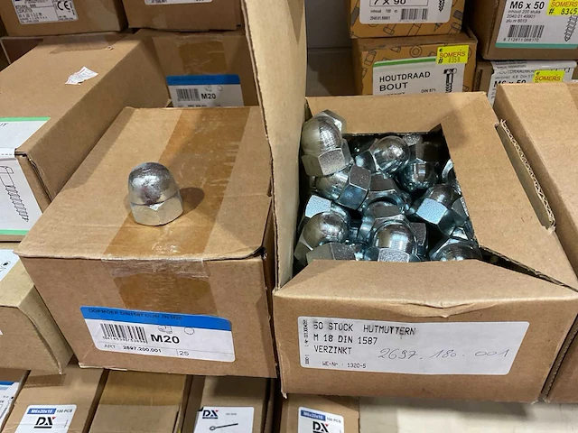7 dozen hout schroeven bolmoeren - afbeelding 5 van  8