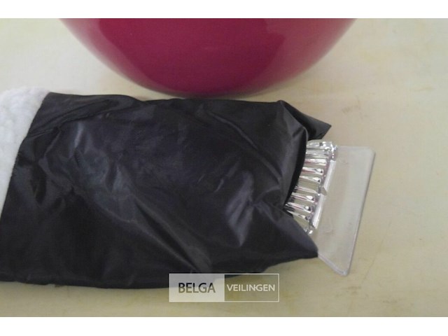 ±7 ijskrabbers - afbeelding 2 van  3