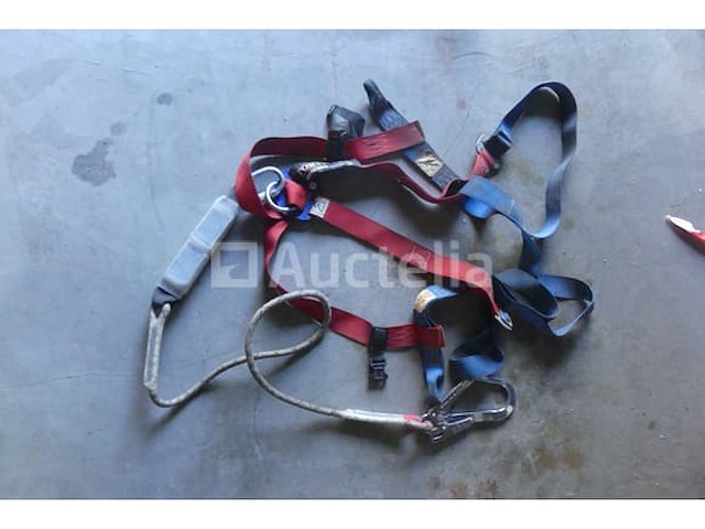 7 veiligheidsgordels - afbeelding 1 van  5