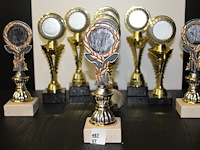 7 x trofee - afbeelding 1 van  1