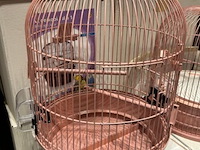 7 x vogelkooi - afbeelding 2 van  7