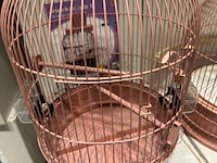 7 x vogelkooi - afbeelding 4 van  7