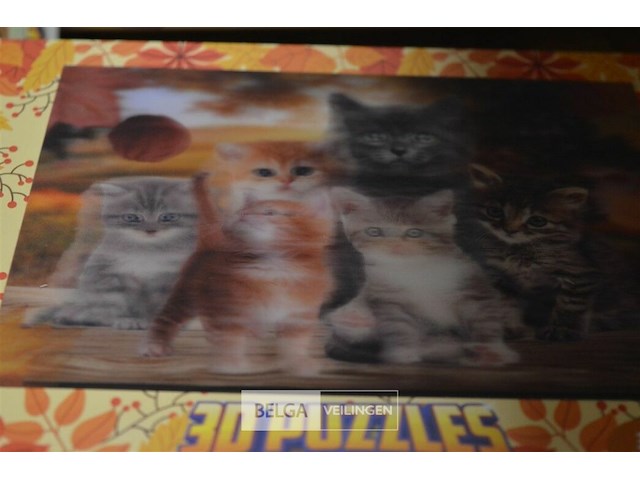 ±72 puzzels 3d - afbeelding 3 van  3