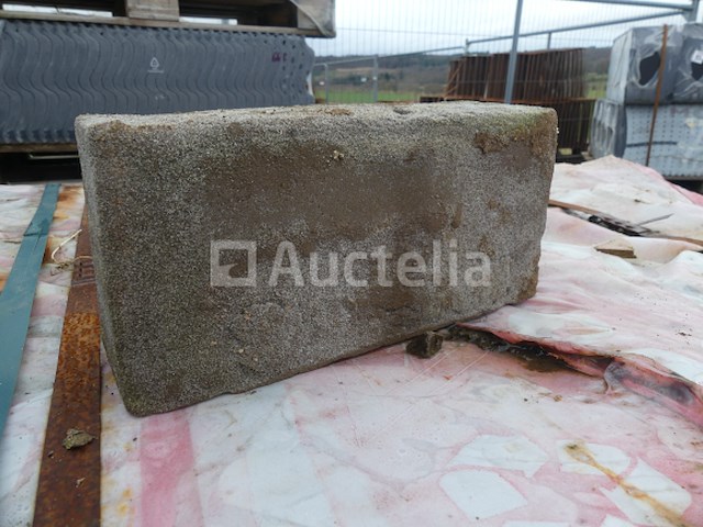 730 nelissen wv65 bricks - afbeelding 3 van  5