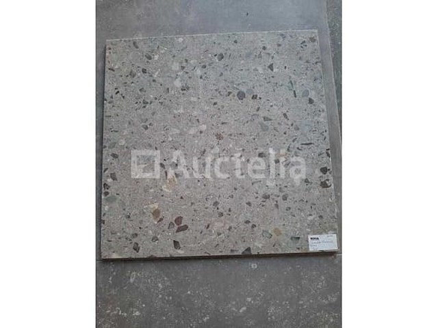 7m² camelot artu 60x60 recitratie, terrazzo-effect - afbeelding 1 van  1