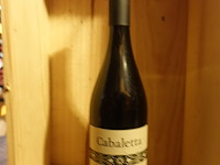 7x 75cl cabaletta rosso delle venezie 2016