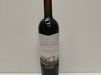 7x 75cl castillo de molina