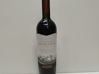 7x 75cl castillo de molina