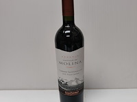 7x 75cl castillo de molina - afbeelding 1 van  2