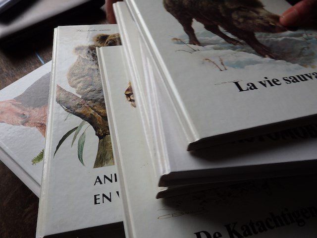 7x boek delhaize - afbeelding 4 van  4