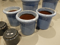 7x diverse terracotta bloempot - afbeelding 5 van  8