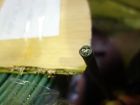 7x kabel op rol - afbeelding 9 van  14