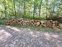 7x stère