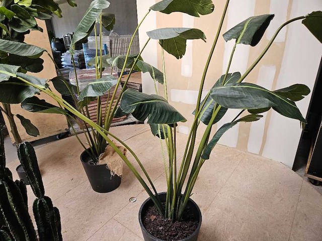 7x varia kunstplanten - afbeelding 2 van  6