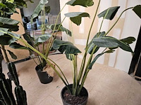 7x varia kunstplanten - afbeelding 2 van  6