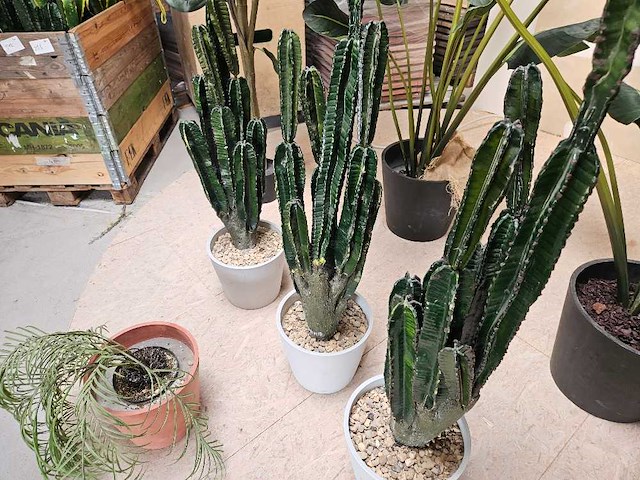 7x varia kunstplanten - afbeelding 3 van  6