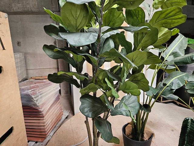7x varia kunstplanten - afbeelding 5 van  6