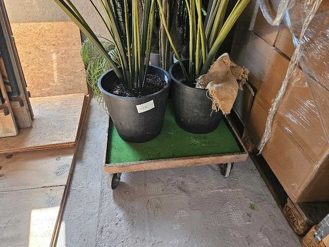 7x varia kunstplanten - afbeelding 6 van  6