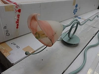 7x wandverlichting cf light division - afbeelding 3 van  3