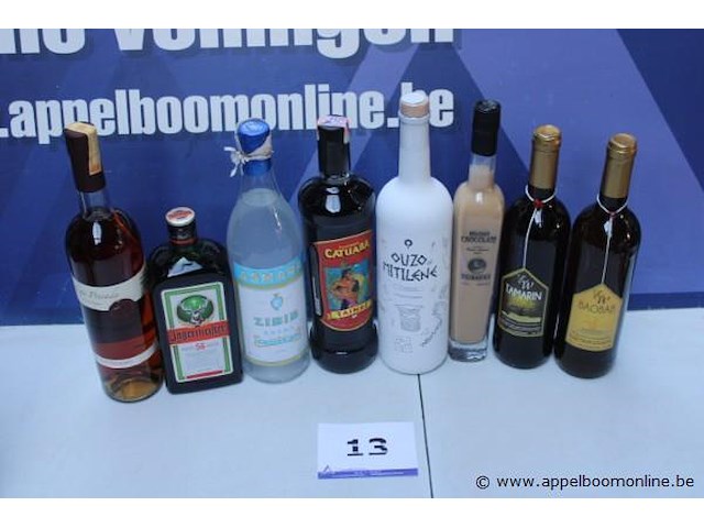 8 div flessen sterke drank wo jagermeister - afbeelding 1 van  3
