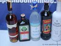 8 div flessen sterke drank wo jagermeister - afbeelding 2 van  3
