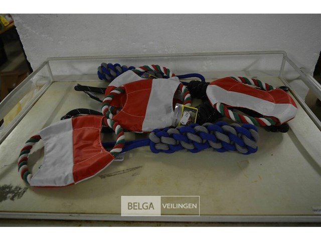 8 hondenspeeltjes - afbeelding 1 van  3