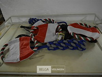 8 hondenspeeltjes - afbeelding 1 van  3