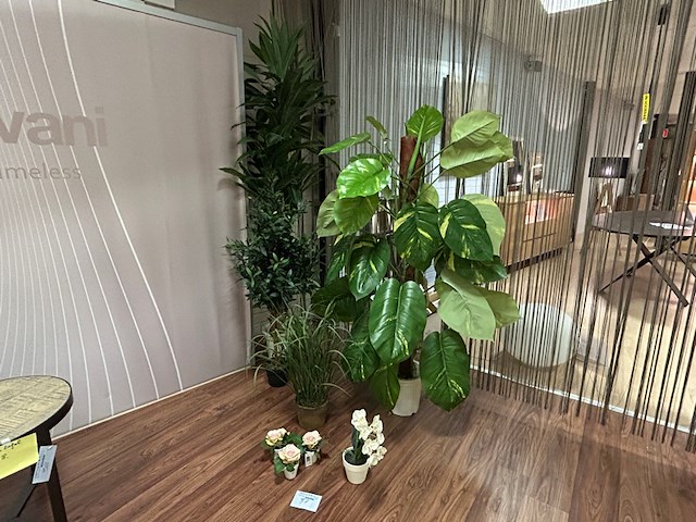 8 nepplanten - afbeelding 1 van  2