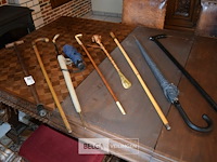 8 paraplu's en 1 wandelstok - afbeelding 1 van  3