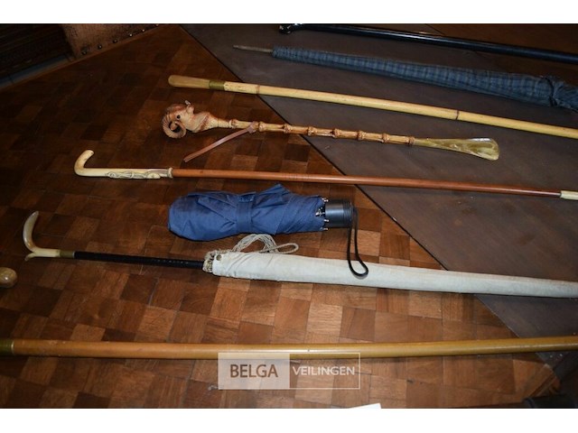 8 paraplu's en 1 wandelstok - afbeelding 2 van  3