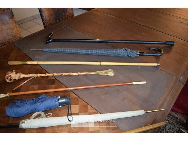 8 paraplu's en 1 wandelstok - afbeelding 3 van  3