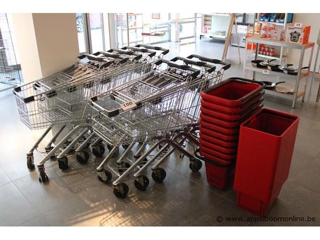 8 winkelkarren plus 19 winkelmandjes - afbeelding 1 van  1