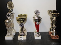8 x trofee - afbeelding 1 van  1