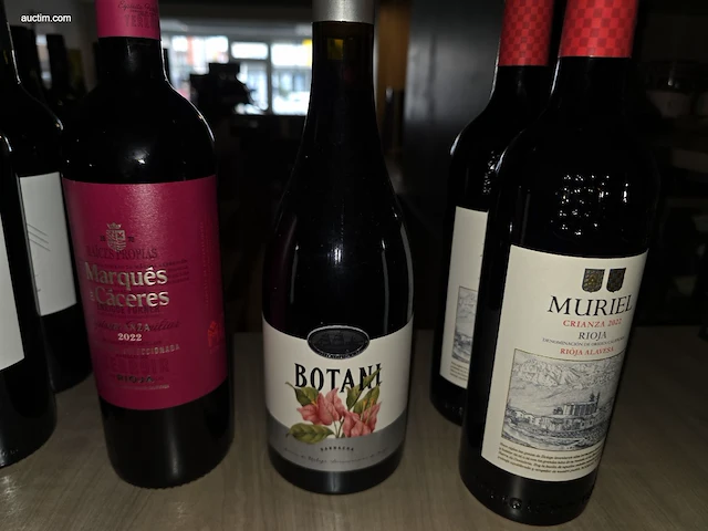 (80x) fles(sen) diverse wijnen en sterke dranken... - afbeelding 3 van  21