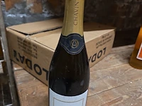 (80x) fles(sen) diverse wijnen en sterke dranken... - afbeelding 9 van  21
