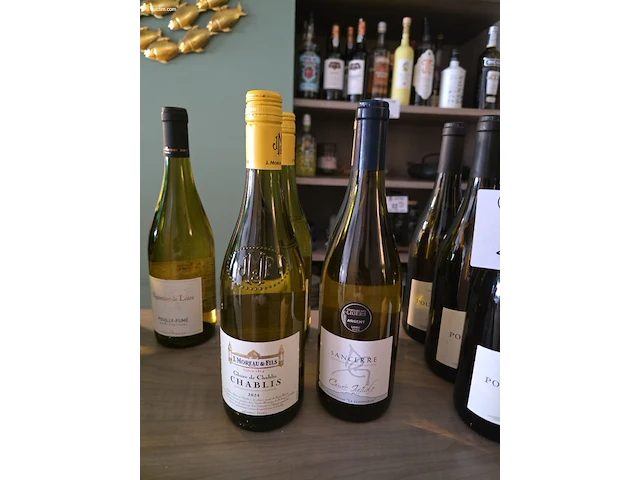 (80x) fles(sen) diverse wijnen en sterke dranken... - afbeelding 17 van  21
